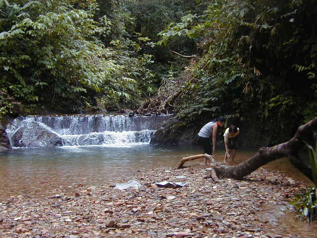 Picture